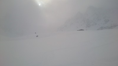 Am Dohlennest