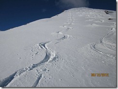 IMG_0550