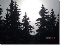 IMG_0651