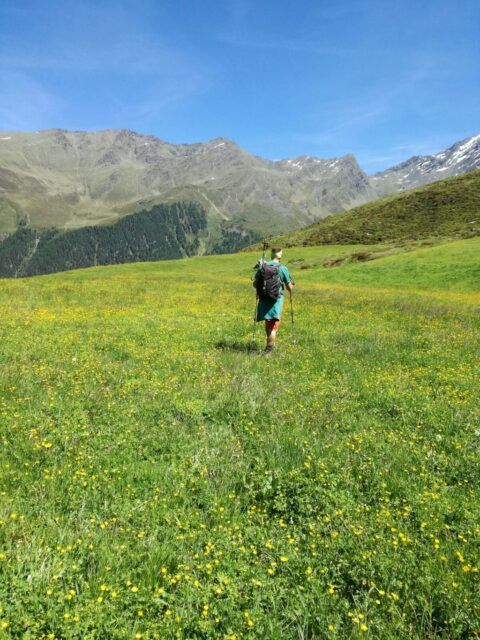 IMG-20170618-WA0010_1497806254658