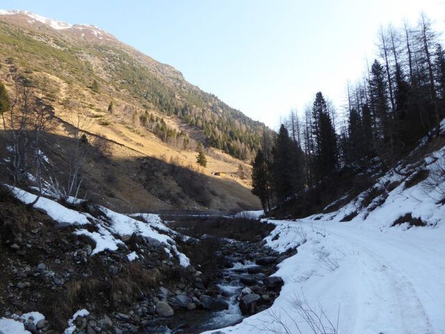 k-P1060682