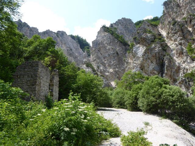 k-P1080327